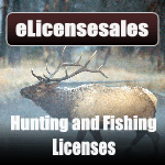 Fishing & Hunting License