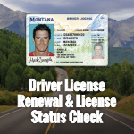 Online Driver License Renewal Service